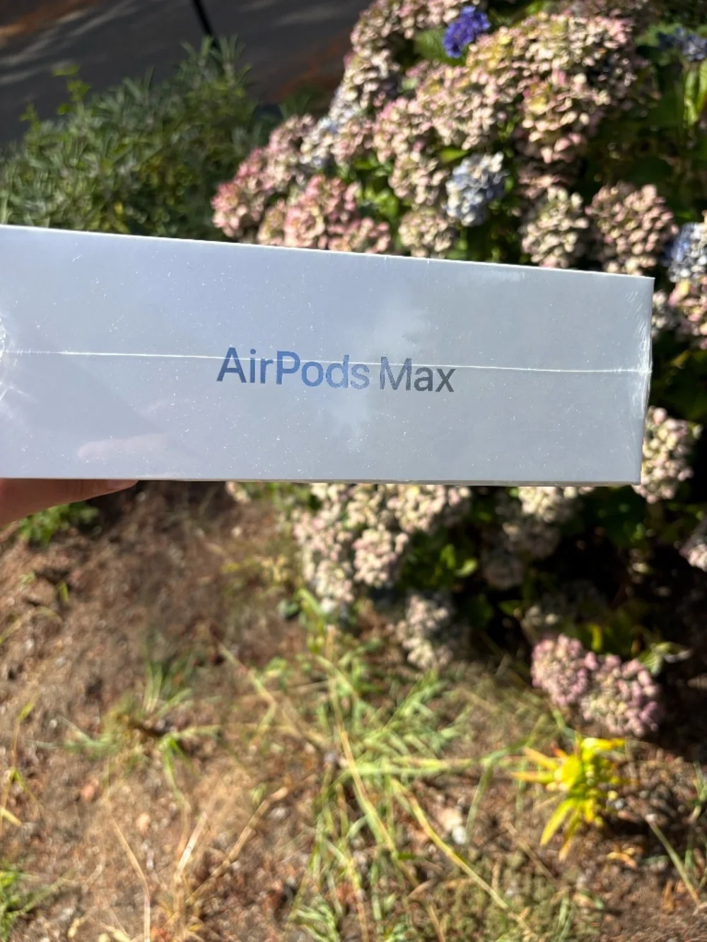 Apple AirPods Max 2 - Blue